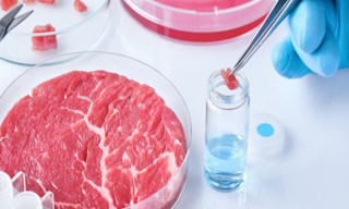 Лабораторный анализ пищевых продуктов по СанПиН в Мценске в октябре