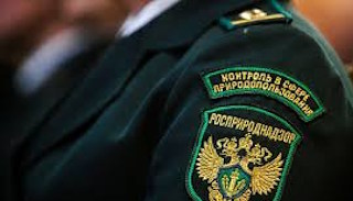 Подготовка к проверке Росприроднадзора в Мценске от ПромМир-Мцн, стоимость услуги от 20254 руб.